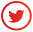 Twitter Opens in new window